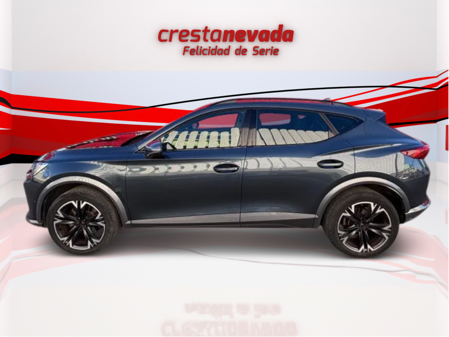 Imagen de cupra Formentor