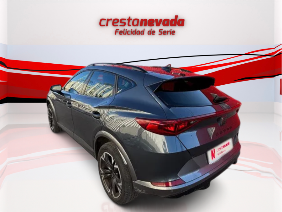 Imagen de cupra Formentor