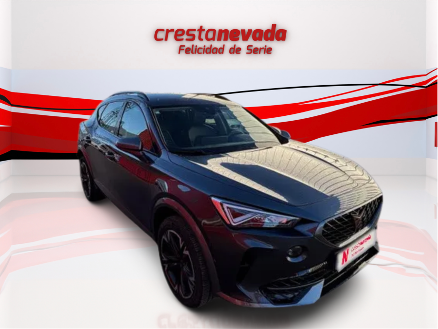 Imagen de cupra Formentor