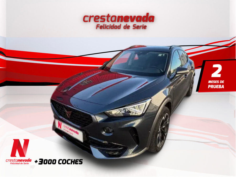 Imagen de cupra Formentor