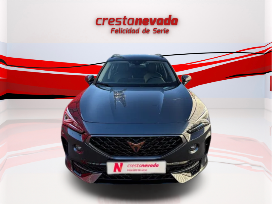 Imagen de cupra Formentor