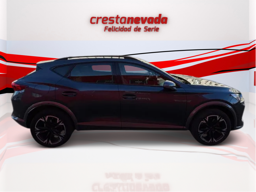 Imagen de cupra Formentor