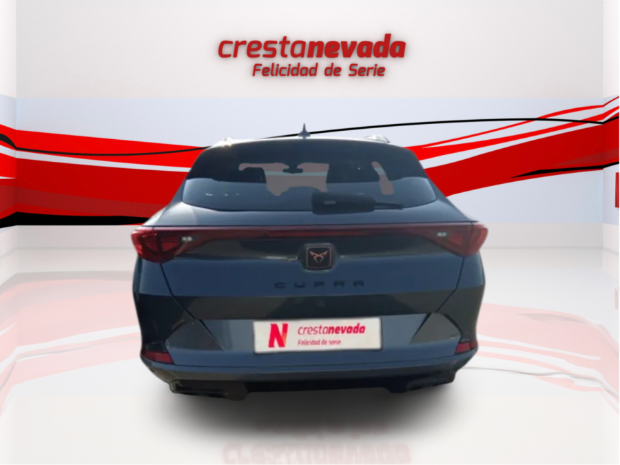 Imagen de cupra Formentor