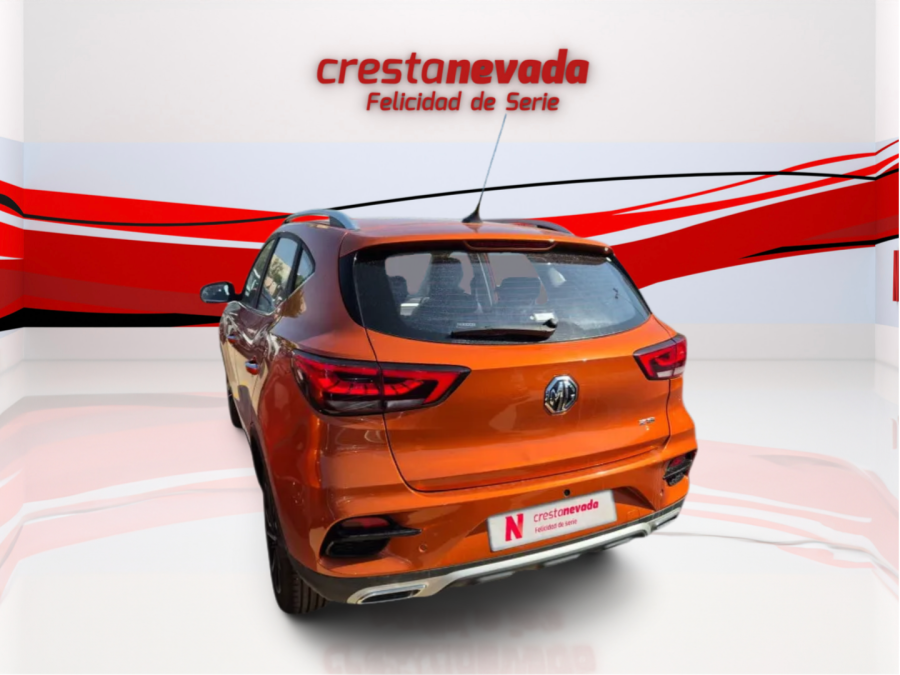 Imagen de Mg ZS
