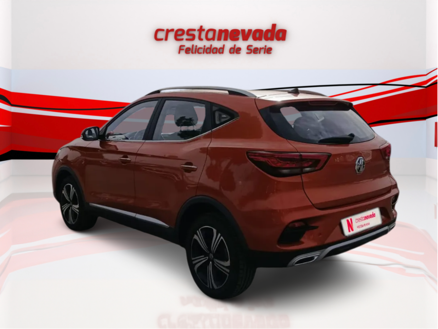 Imagen de Mg ZS