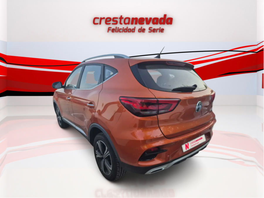 Imagen de Mg ZS