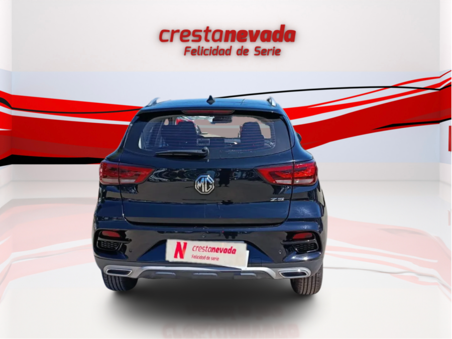Imagen de Mg ZS