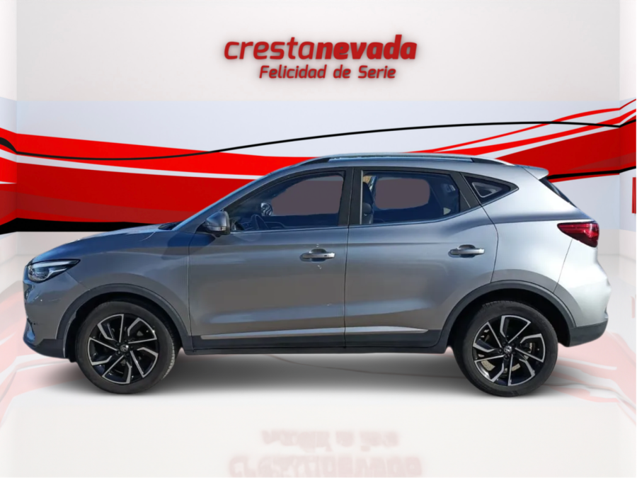 Imagen de Mg ZS