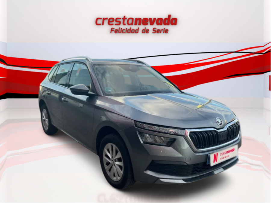Imagen de Skoda Kamiq