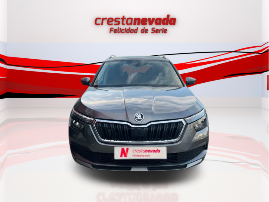 Imagen de Skoda Kamiq