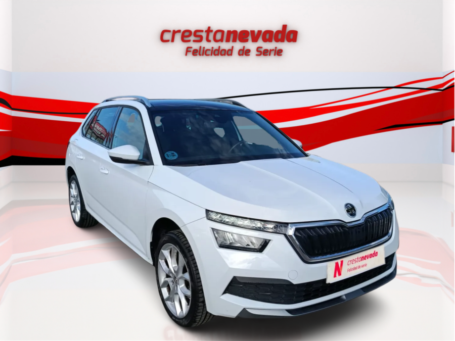 Imagen de Skoda Kamiq