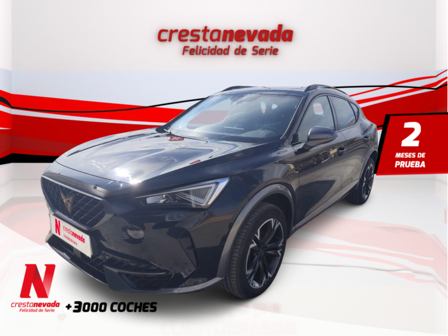 Imagen de cupra Formentor
