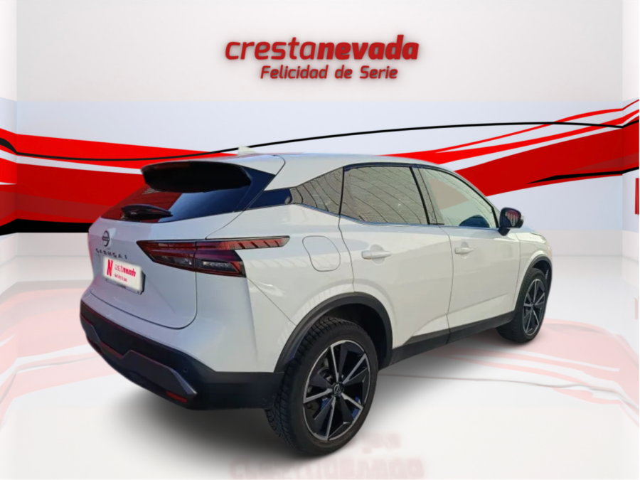 Imagen de NISSAN QASHQAI