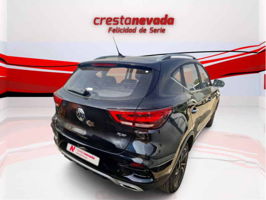 Imagen de Mg ZS