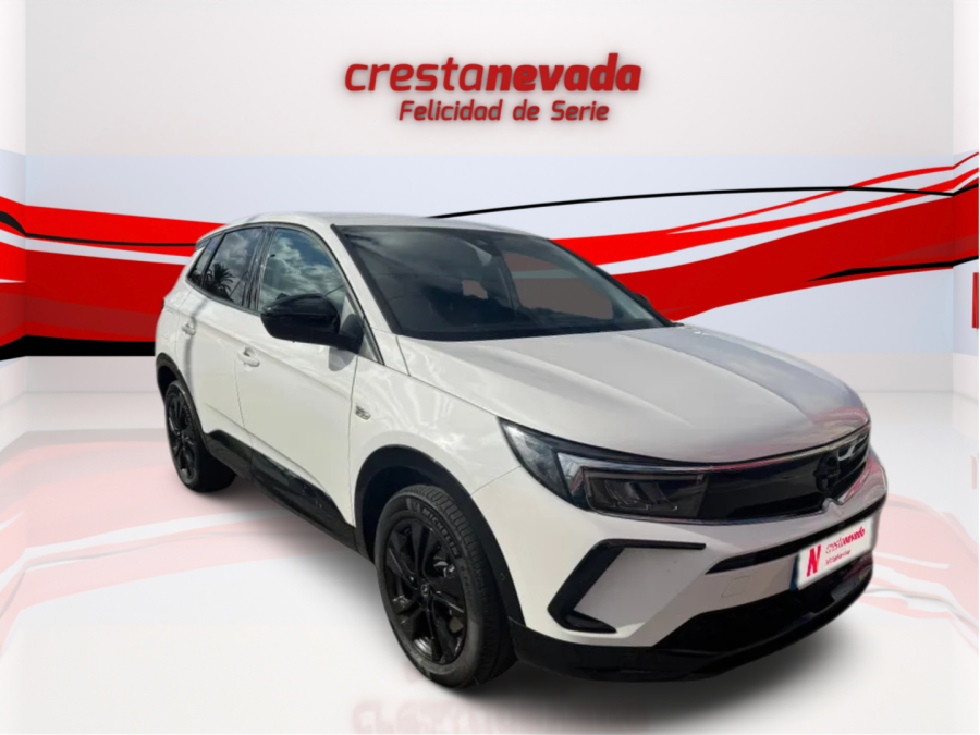 Imagen de Opel Grandland