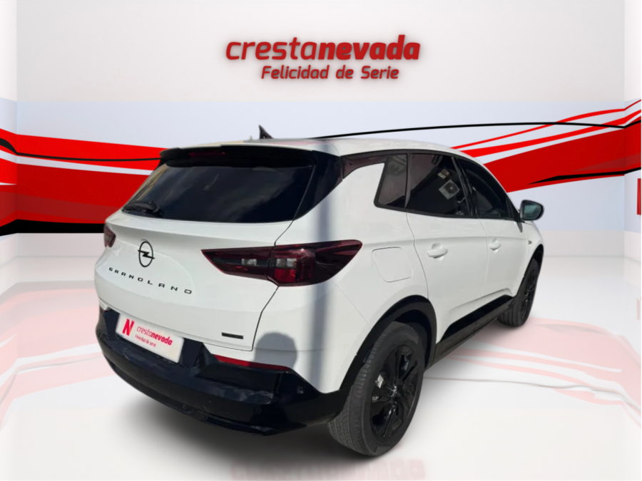 Imagen de Opel Grandland
