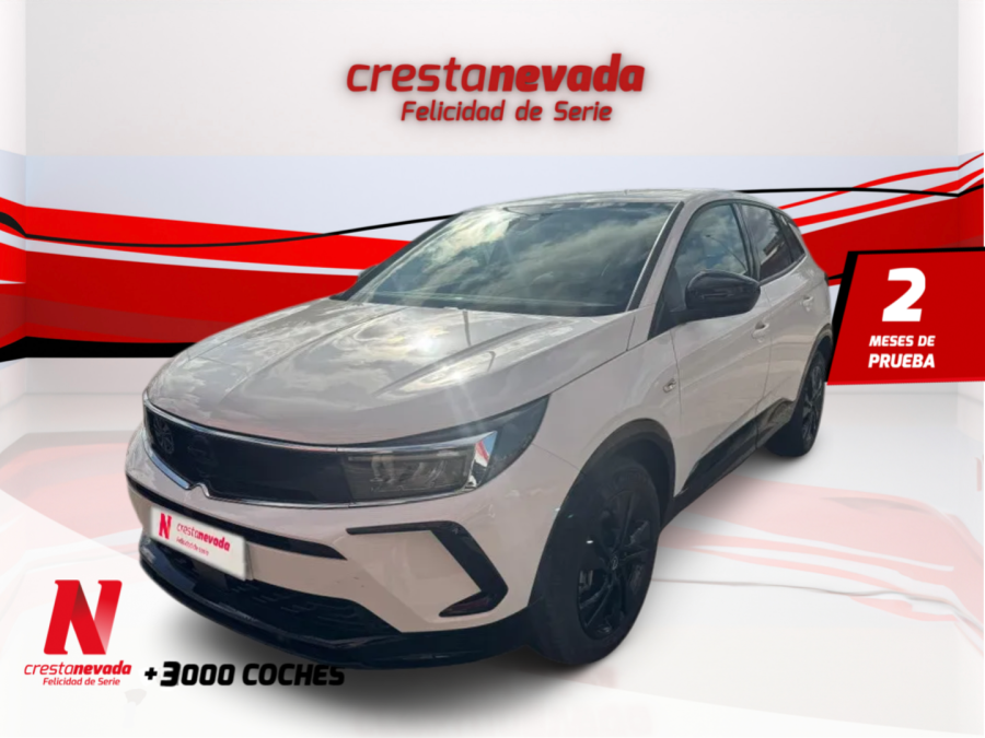 Imagen de Opel Grandland