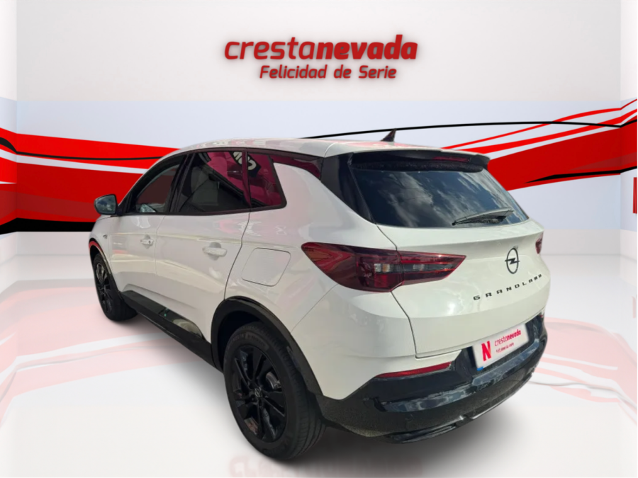 Imagen de Opel Grandland