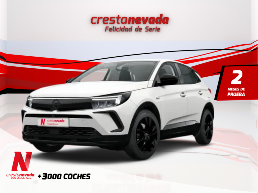 Imagen de Opel Grandland