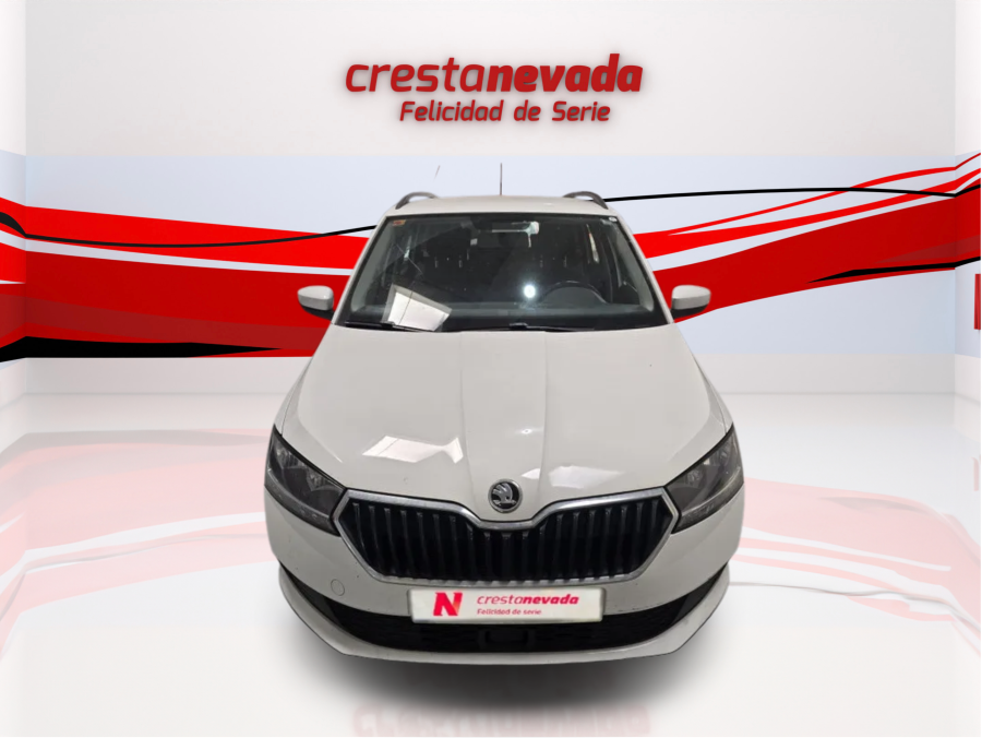 Imagen de Skoda Fabia