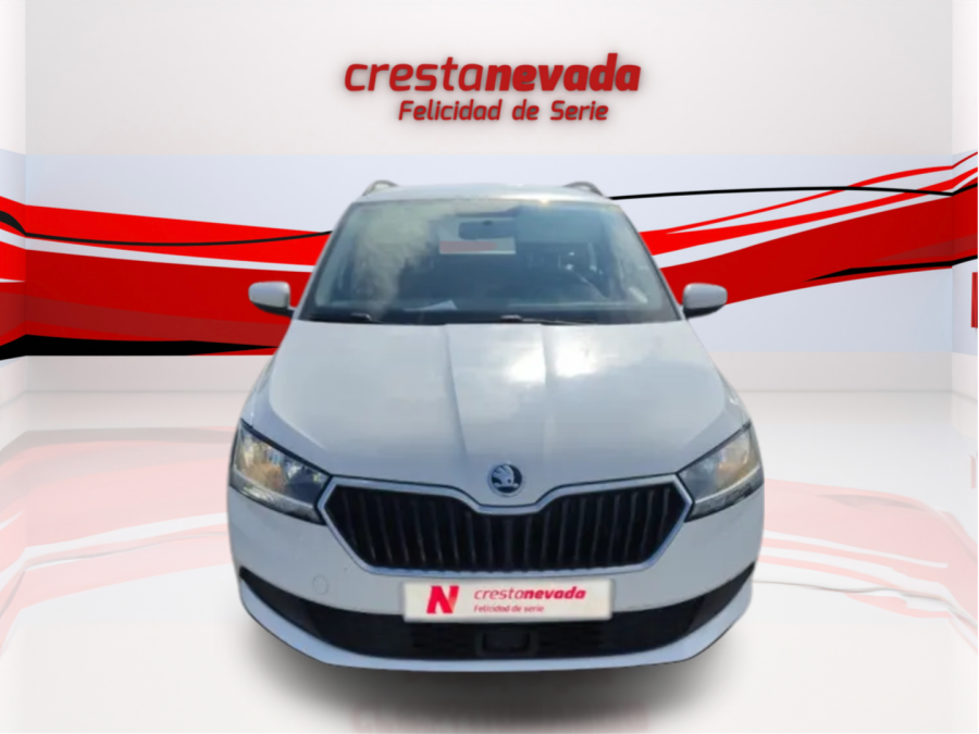 Imagen de Skoda Fabia