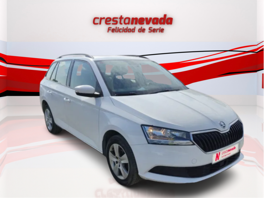 Imagen de Skoda Fabia