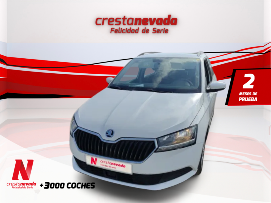 Imagen de Skoda Fabia