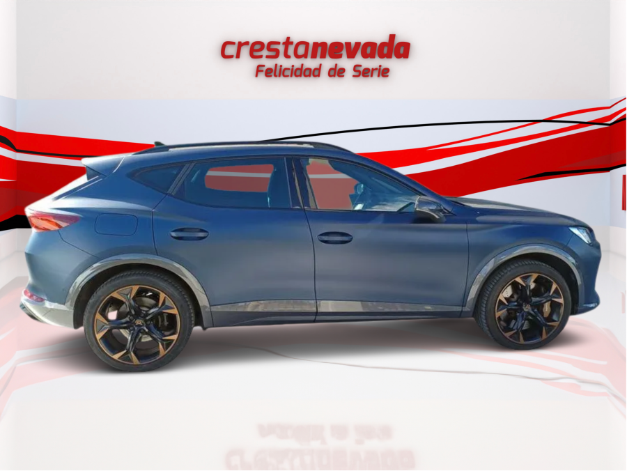 Imagen de cupra Formentor