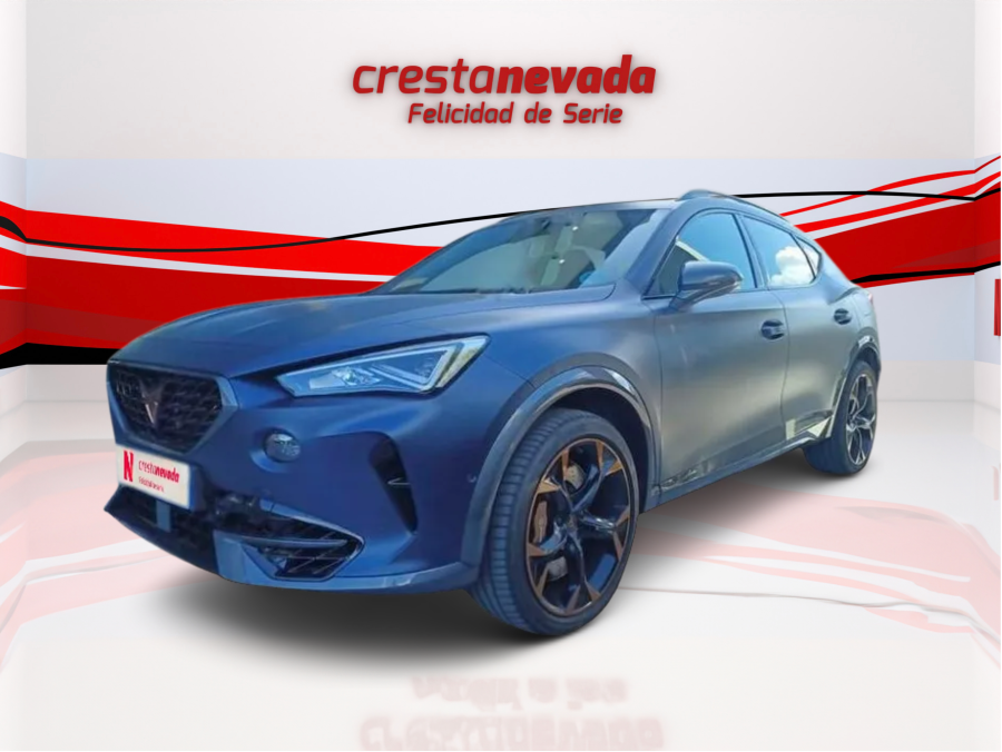 Imagen de cupra Formentor