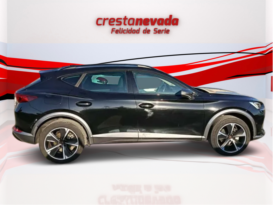 Imagen de cupra Formentor