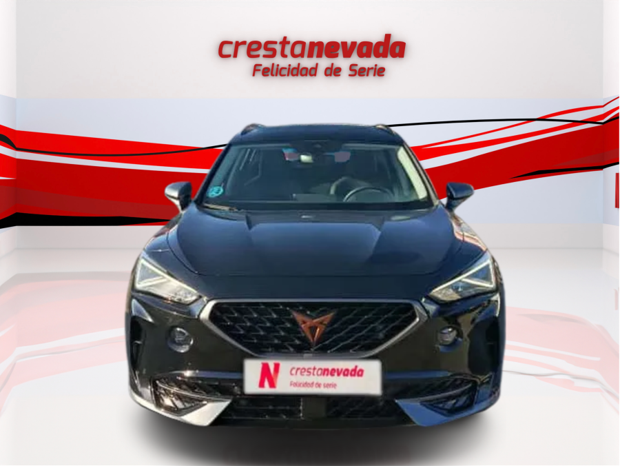 Imagen de cupra Formentor