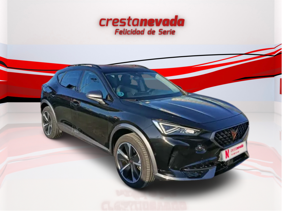 Imagen de cupra Formentor