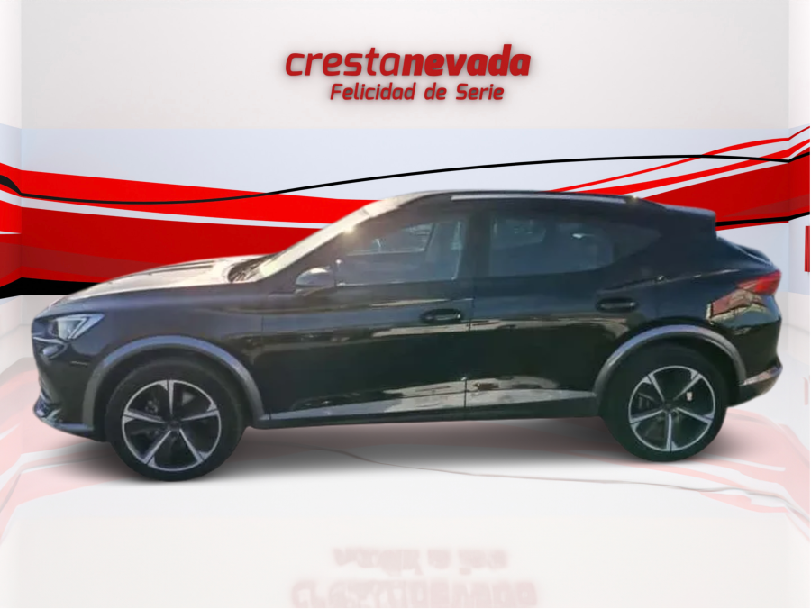 Imagen de cupra Formentor