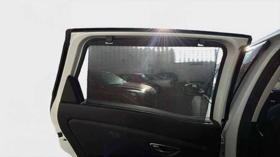 Imagen de Renault Scénic