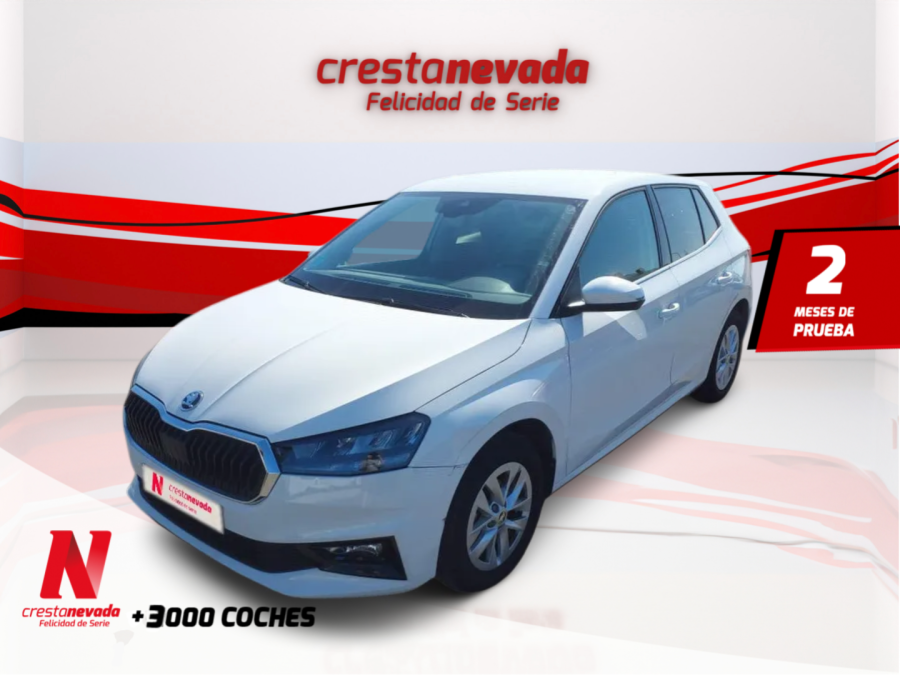 Imagen de Skoda Fabia