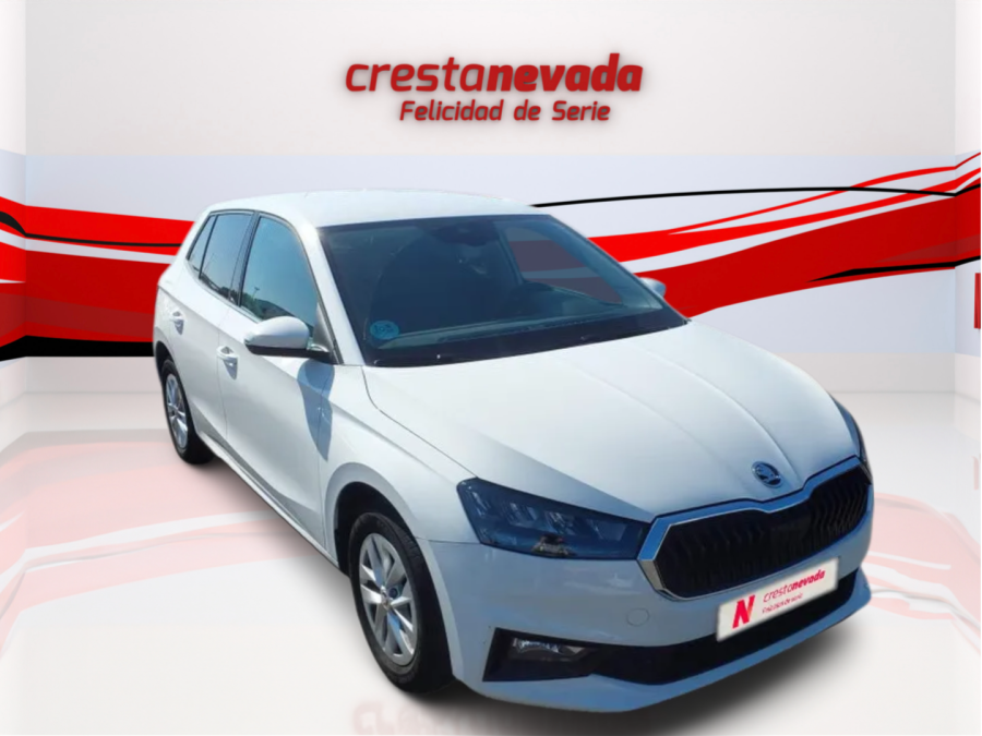 Imagen de Skoda Fabia
