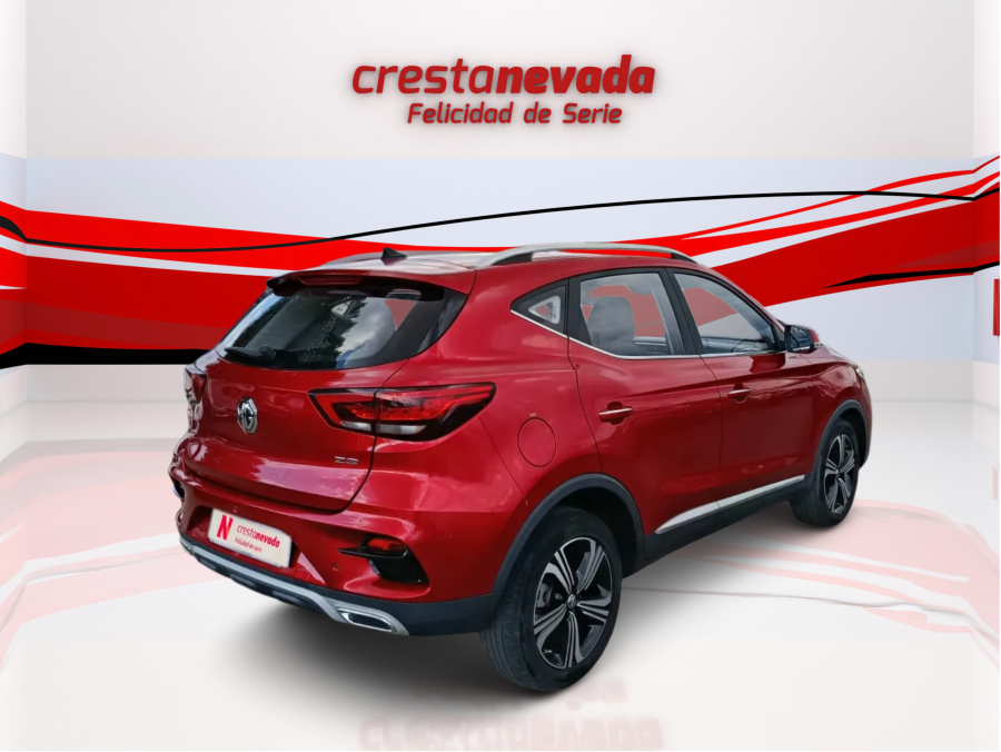 Imagen de Mg ZS