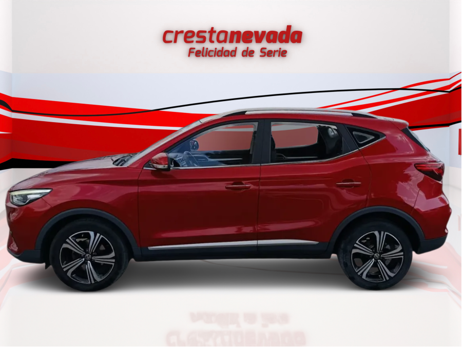 Imagen de Mg ZS