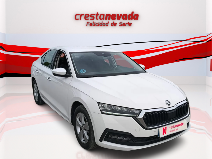 Imagen de Skoda Octavia