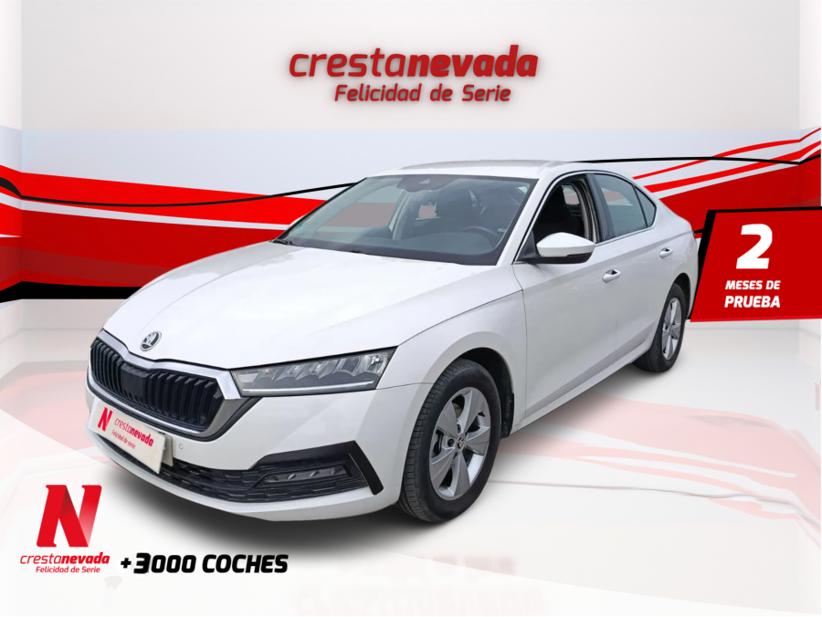 Imagen de Skoda Octavia
