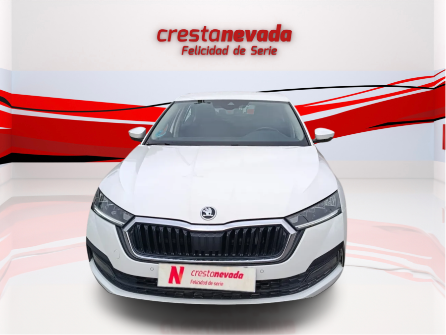 Imagen de Skoda Octavia