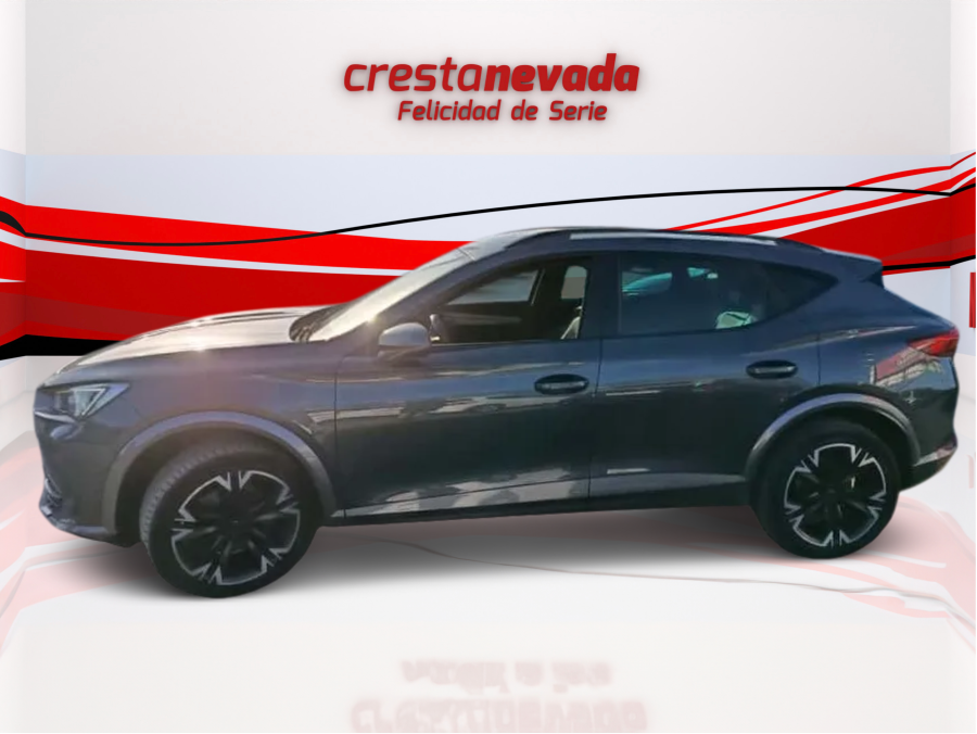 Imagen de cupra Formentor