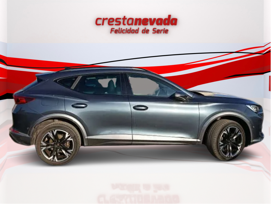 Imagen de cupra Formentor