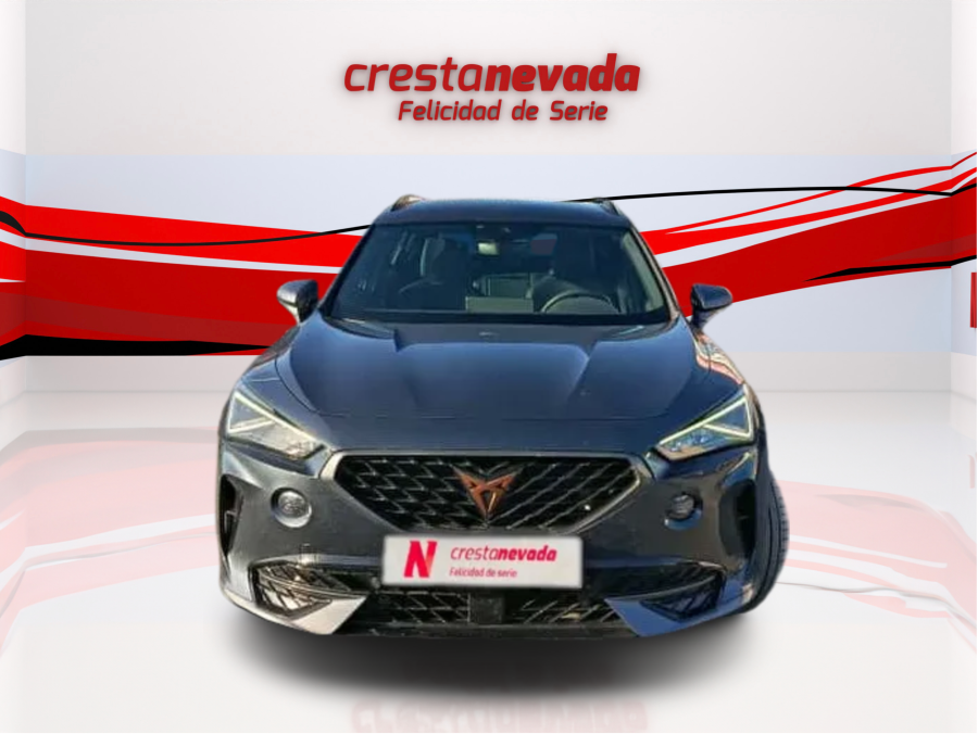 Imagen de cupra Formentor