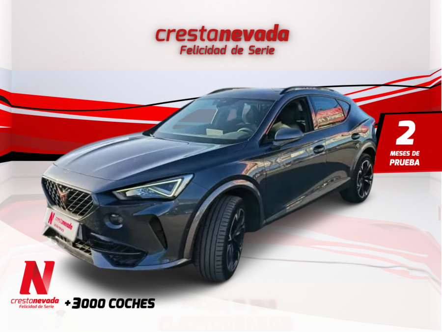 Imagen de cupra Formentor
