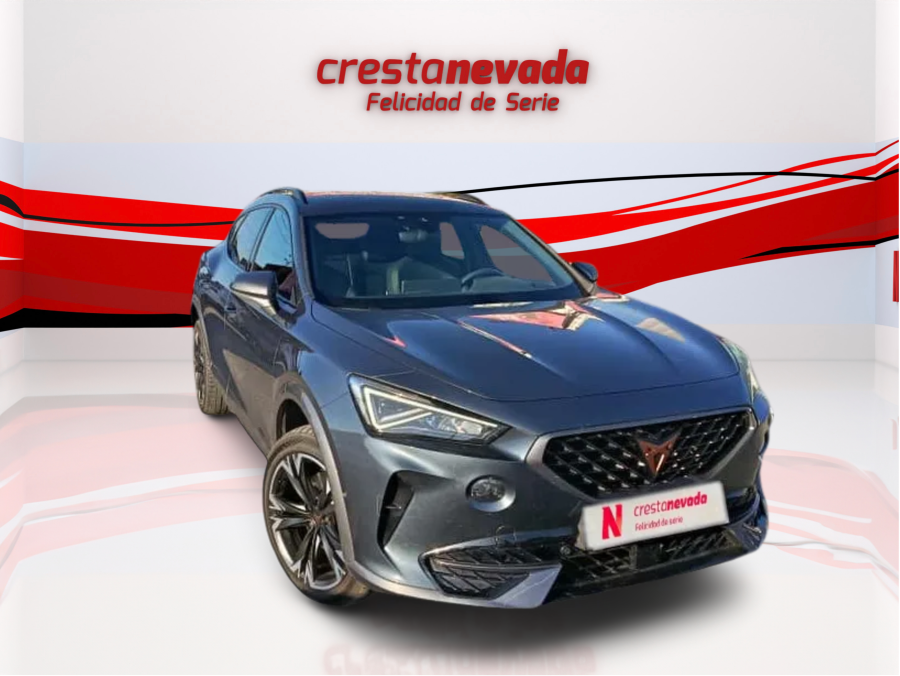 Imagen de cupra Formentor