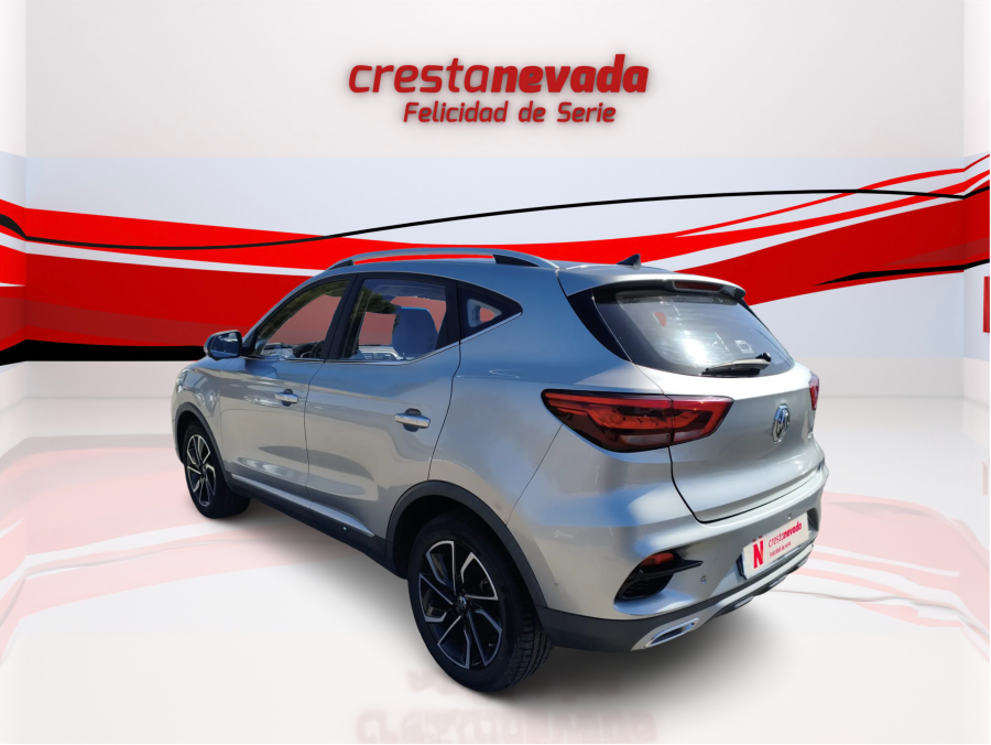 Imagen de Mg ZS