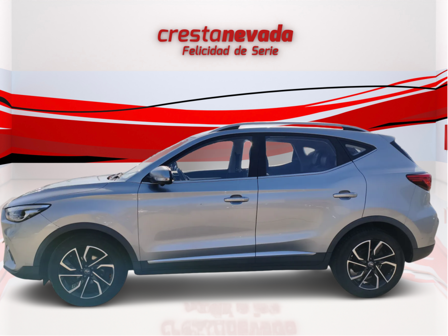 Imagen de Mg ZS