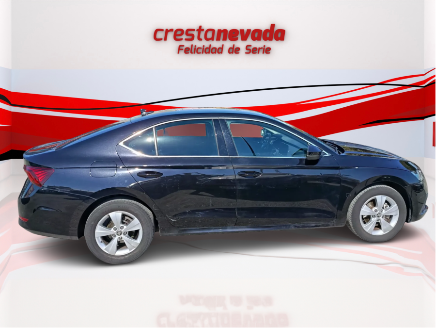 Imagen de Skoda Octavia
