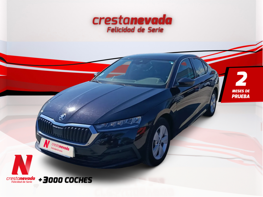 Imagen de Skoda Octavia
